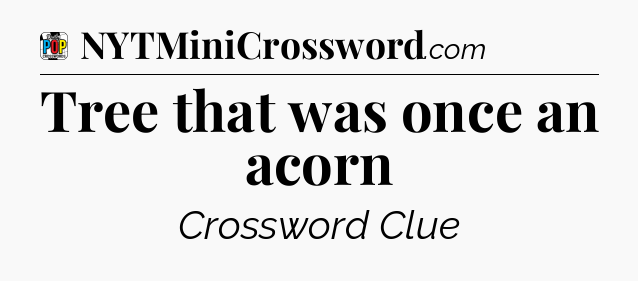 Tree that was once an acorn Crossword Clue