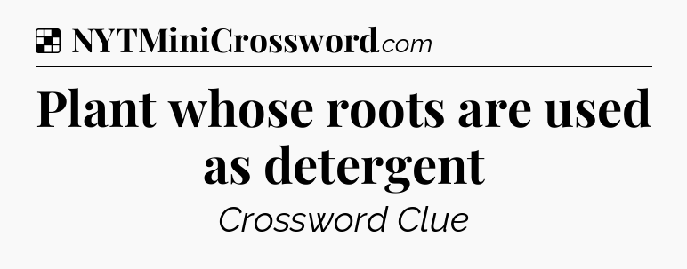Solution: Plant whose roots are used as detergent - NYT Crossword