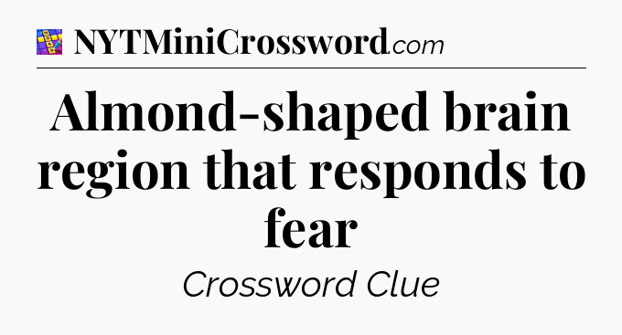 Almond-shaped brain region that responds to fear Codycross