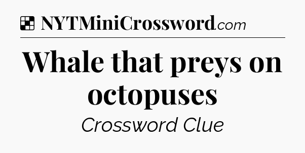 Solution: Whale that preys on octopuses - NYT Crossword