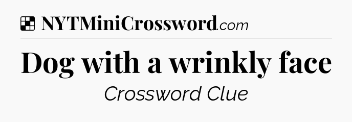Dog with a wrinkly face NYT Crossword