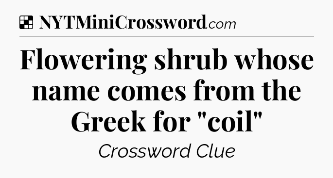 Solution: Flowering shrub whose name comes from the Greek for 