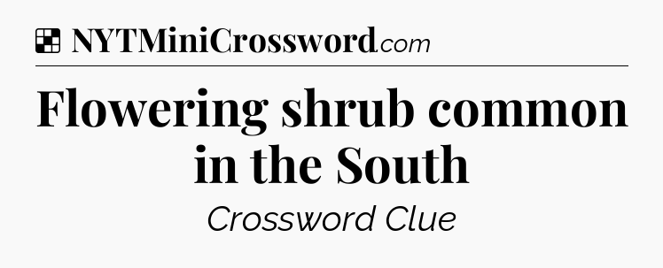 Solution: Flowering shrub common in the South - NYT Crossword