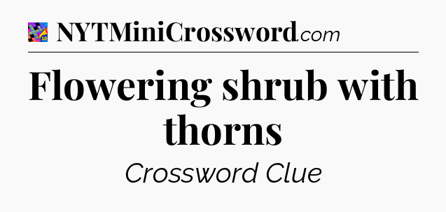 Flowering shrub with thorns Crossword Clue
