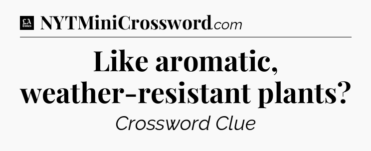 Like aromatic, weather-resistant plants - LA Times Crossword