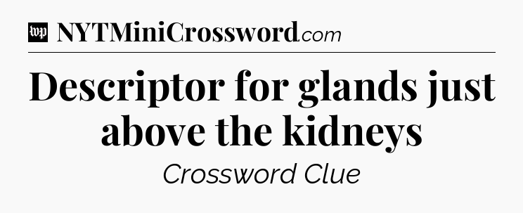 Descriptor for glands just above the kidneys Crossword Clue