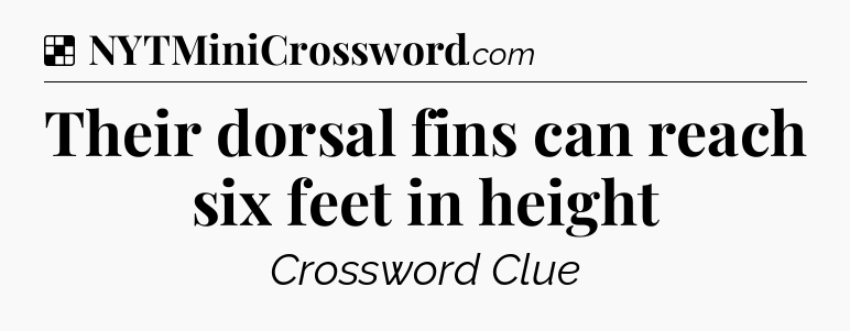 Solution: Their dorsal fins can reach six feet in height - NYT Crossword