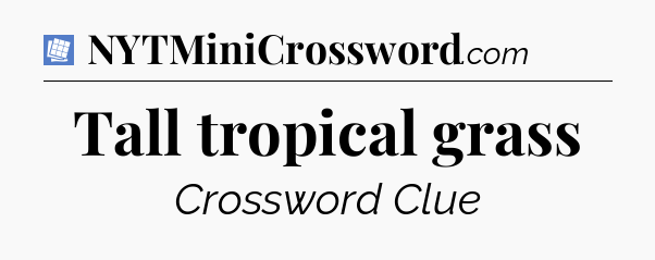 Tall tropical grass Puzzle Page Crossword Clue