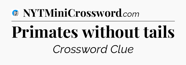 Primates without tails Crossword Clue