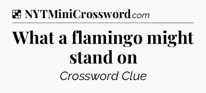 Solution: What a flamingo might stand on - NYT Crossword