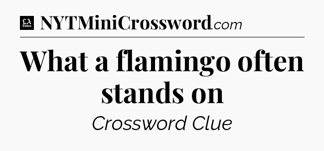 What a flamingo often stands on - LA Times Crossword