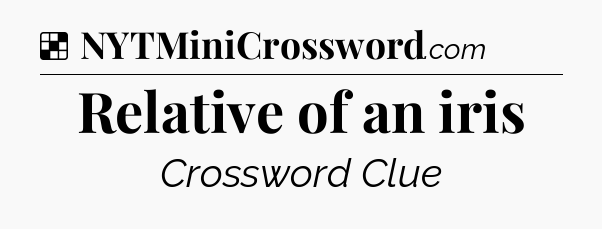 Solution: Relative of an iris - NYT Crossword