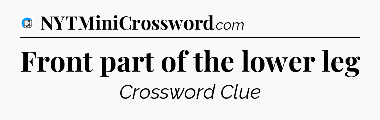 Front part of the lower leg Crossword Clue