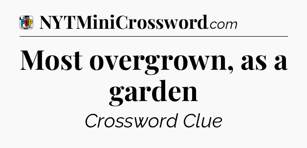 Most overgrown, as a garden Crossword Clue