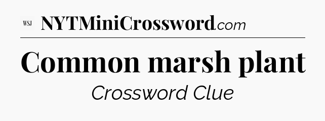 Common marsh plant - WSJ Crossword