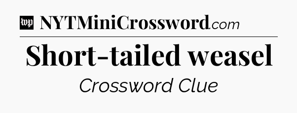 Short-tailed weasel Crossword Clue