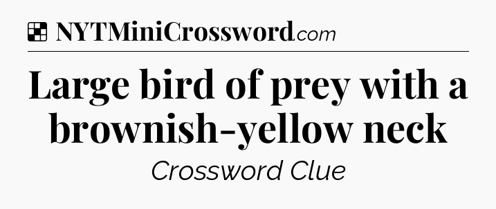 Solution: Large bird of prey with a brownish-yellow neck - NYT Crossword