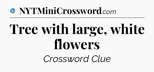 Tree with large, white flowers Crossword Clue