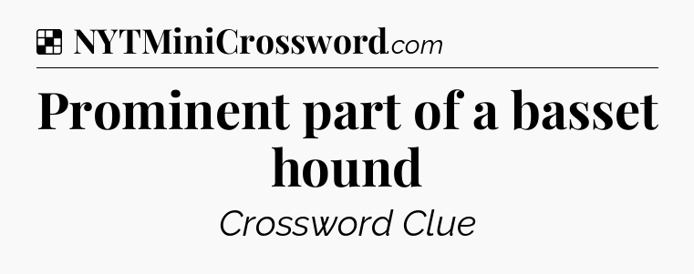Solution: Prominent part of a basset hound - NYT Crossword