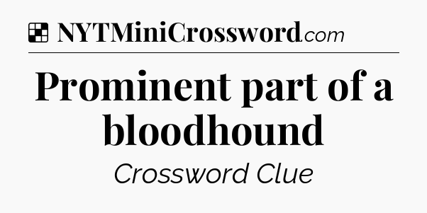 Solution: Prominent part of a bloodhound - NYT Crossword