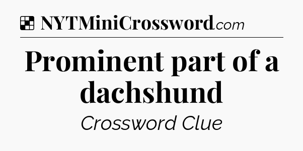 Solution: Prominent part of a dachshund - NYT Crossword