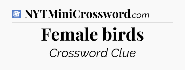 Female birds Puzzle Page Crossword Clue