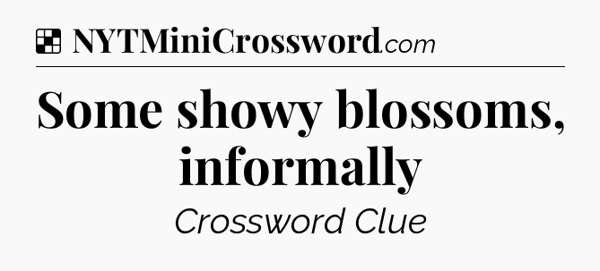Solution: Some showy blossoms, informally - NYT Crossword