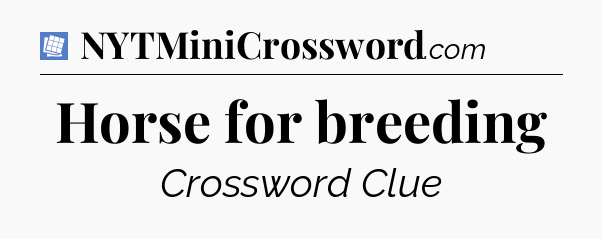 Horse for breeding Puzzle Page Crossword Clue