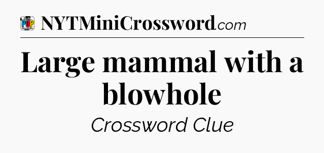 Large mammal with a blowhole Crossword Clue