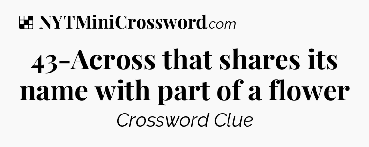 Solution: 43-Across that shares its name with part of a flower - NYT Crossword