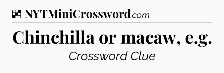 Solution: Chinchilla or macaw, e.g - NYT Crossword