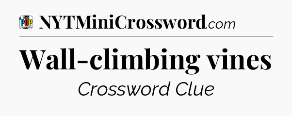 Wall-climbing vines Crossword Clue