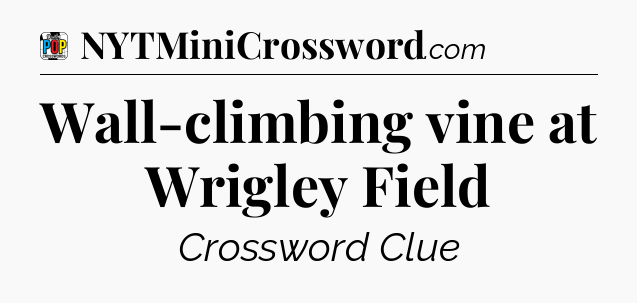 Wall-climbing vine at Wrigley Field Crossword Clue