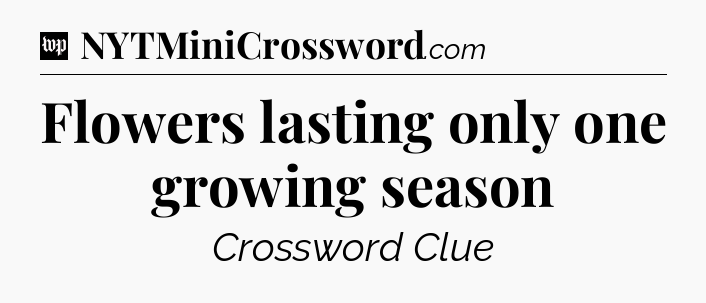 Flowers lasting only one growing season Crossword Clue