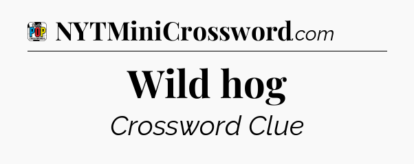 Wild hog Crossword Clue
