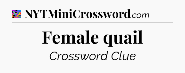 Female quail Crossword Clue
