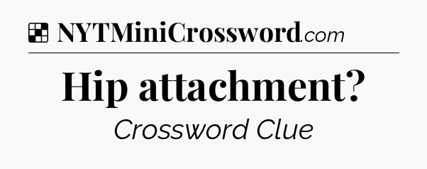 Solution: Hip attachment - NYT Crossword