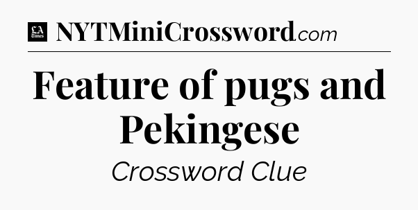 Feature of pugs and Pekingese - LA Times Crossword