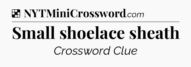 Solution: Small shoelace sheath - NYT Crossword