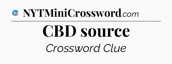 CBD source Crossword Clue