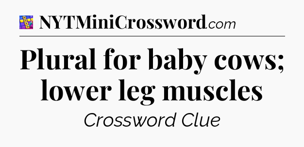 Plural for baby cows; lower leg muscles Codycross