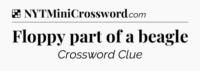 Floppy part of a beagle NYT Crossword