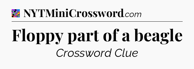 Floppy part of a beagle Crossword Clue