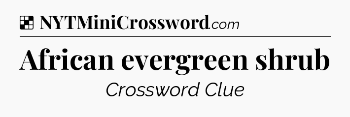 Solution: African evergreen shrub - NYT Crossword