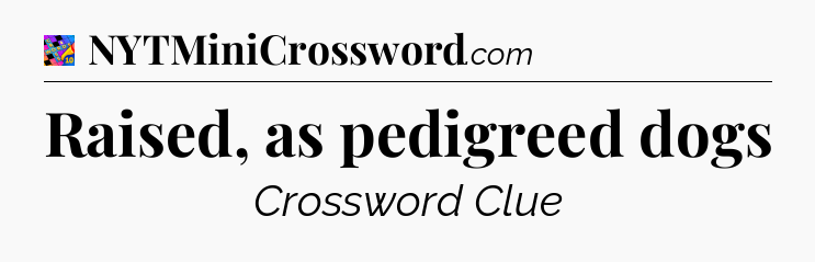 Raised, as pedigreed dogs Crossword Clue