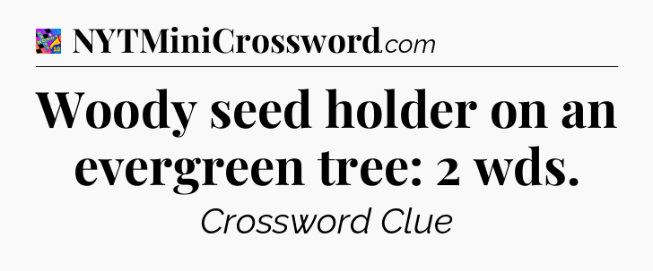 Woody seed holder on an evergreen tree: 2 wds Crossword Clue
