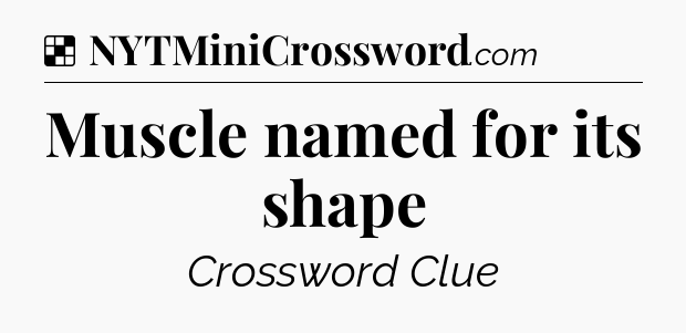 Solution: Muscle named for its shape - NYT Crossword