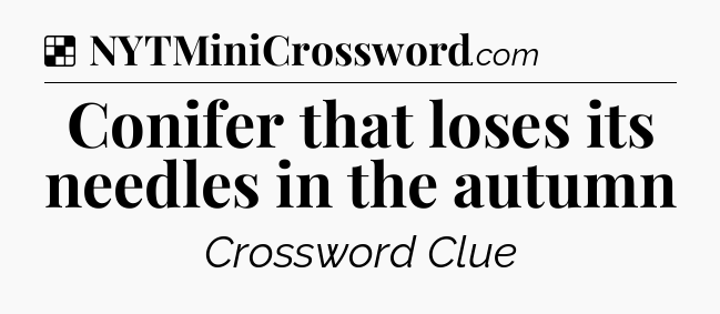 Solution: Conifer that loses its needles in the autumn - NYT Crossword