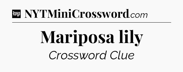 Mariposa lily Crossword Clue