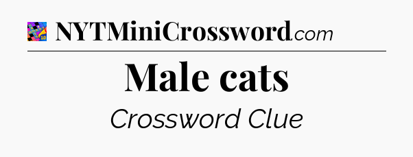 Male cats Crossword Clue